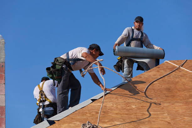 Best Commercial Roofing Services  in Valley City, ND